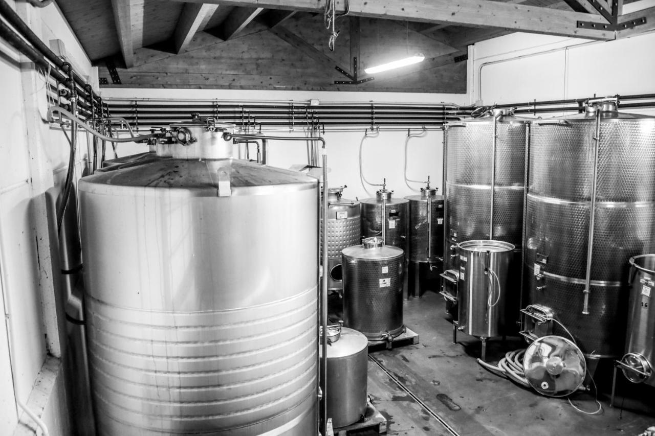 Agriturismo E Cantina La Sabbiona Faenza Kültér fotó
